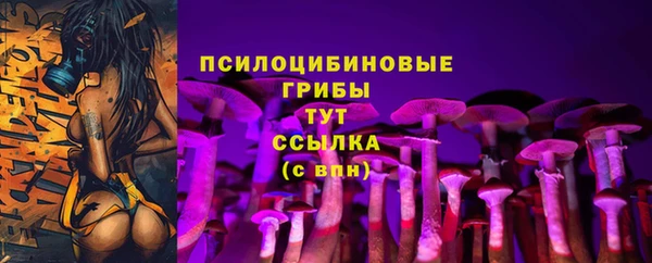 apvp Карпинск