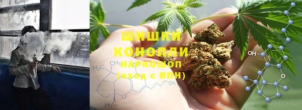 сатива Касимов
