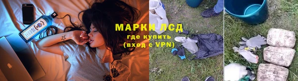 сатива Касимов