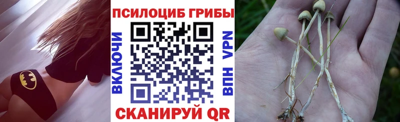 Купить  Лосино-Петровский  Псилоцибиновые грибы мицелий 